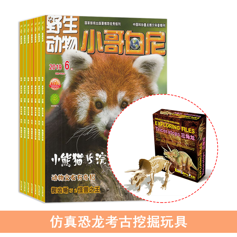 СҰﻭ(1깲12)+ͷھ