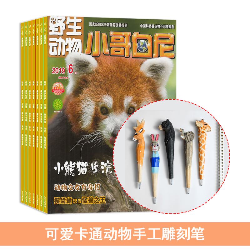 小哥白尼野生动物画报(1年共12期)+送可爱卡通动物手工雕刻笔