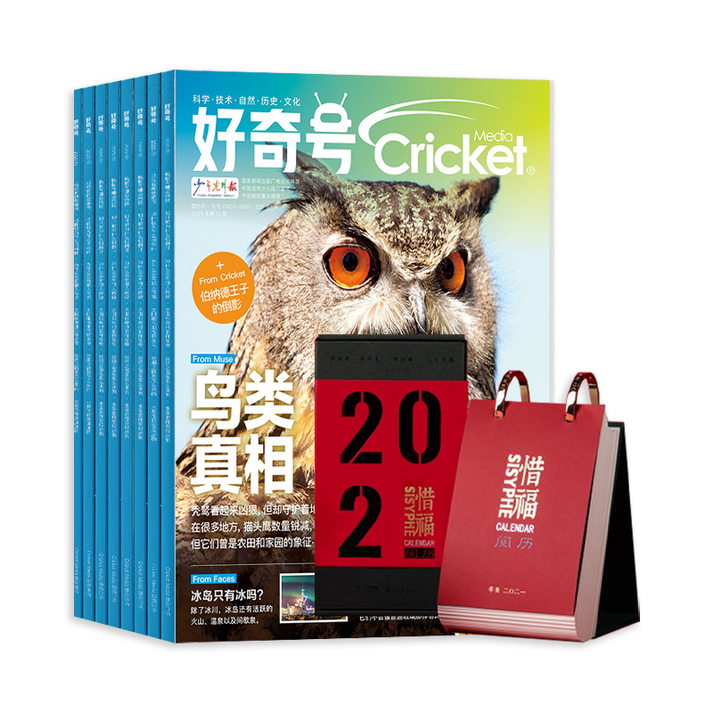 ţ1깲12ڣ+ϧ2021