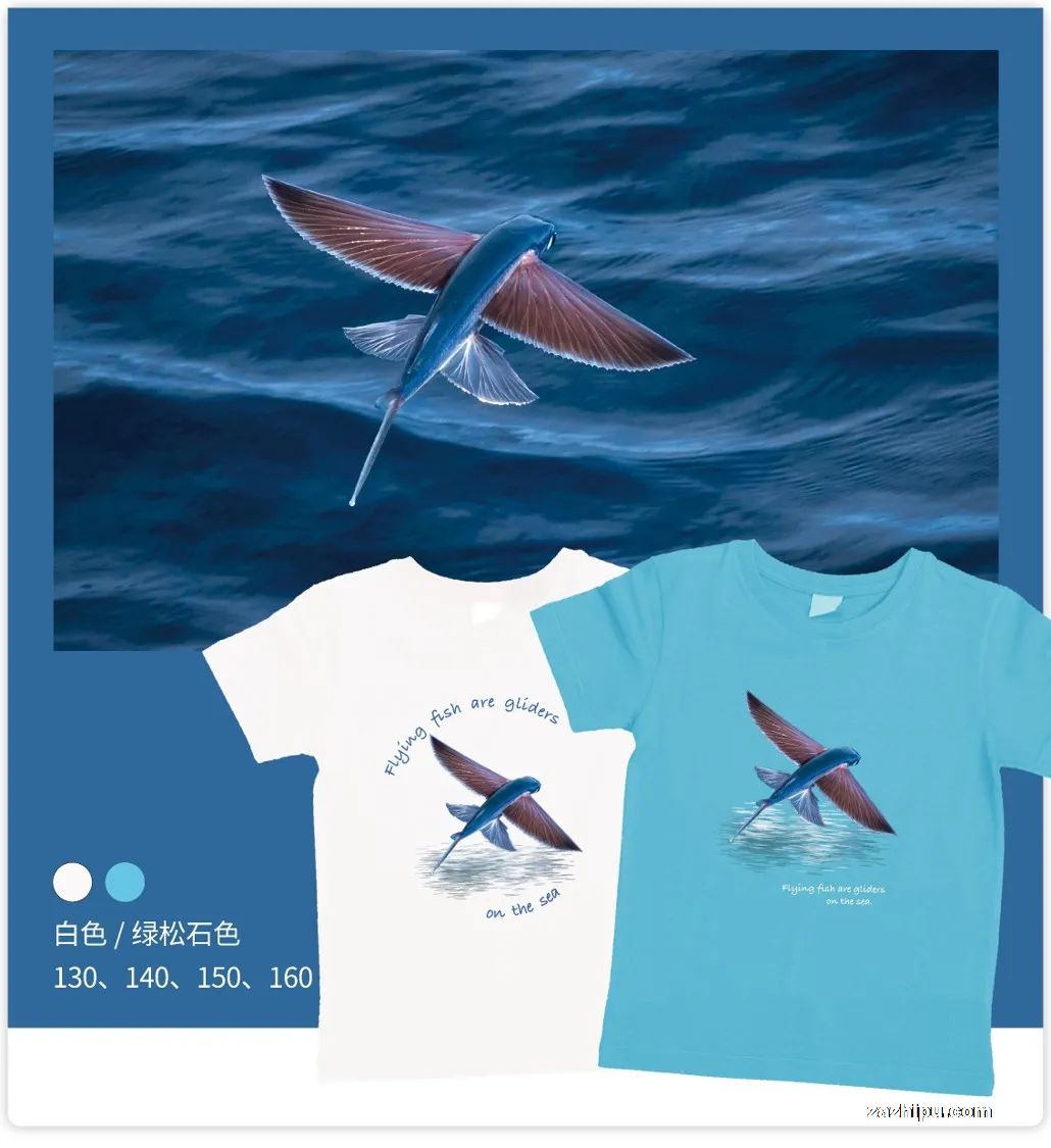 预售万物新款科学主题Tee(飞鱼款)(下单请备注颜色和尺码)