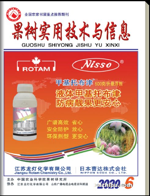 ʵüϢ1깲12ڣ