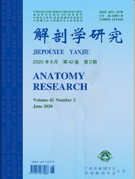 解剖学研究(1年共6期)