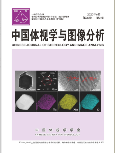 中国体视学与图像分析(1年共4期)