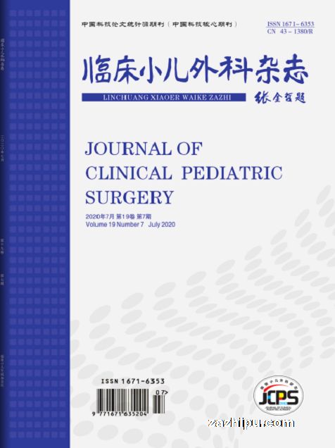 临床小儿外科杂志(1年共12期)