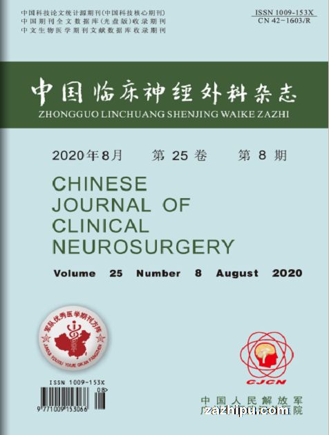中国临床神经外科杂志(1年共12期)