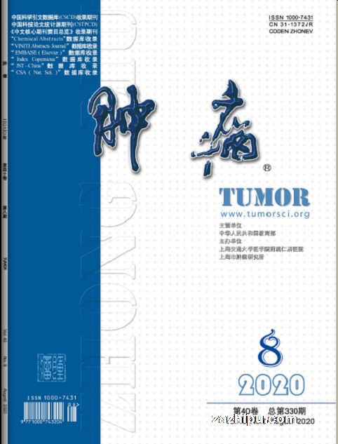 肿瘤(1年共12期)