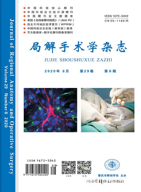 局解手术学杂志(1年共12期)
