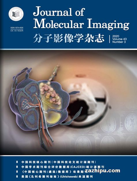 分子影像学杂志(1年共12期)
