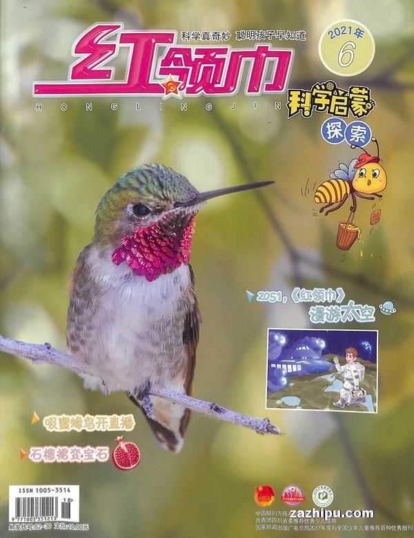 现货红领巾探索版免费试读