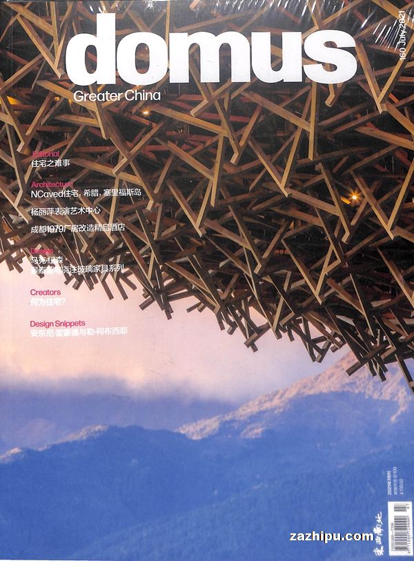 domus国际中杂志订阅