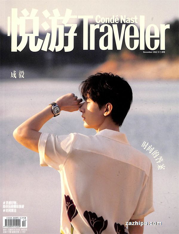 Traveler202212