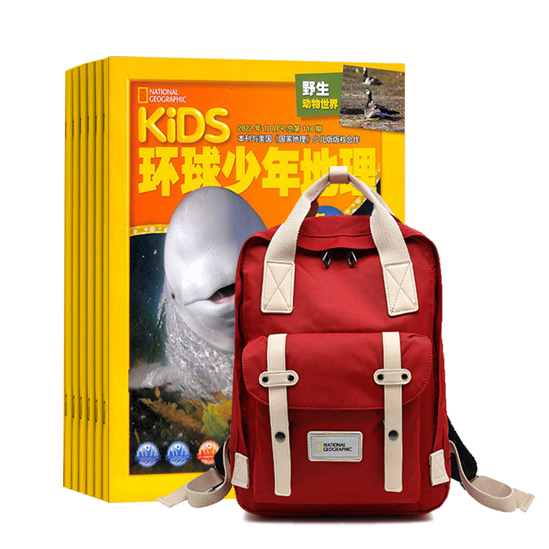 KiDS1깲12ڣ+ҵɫ