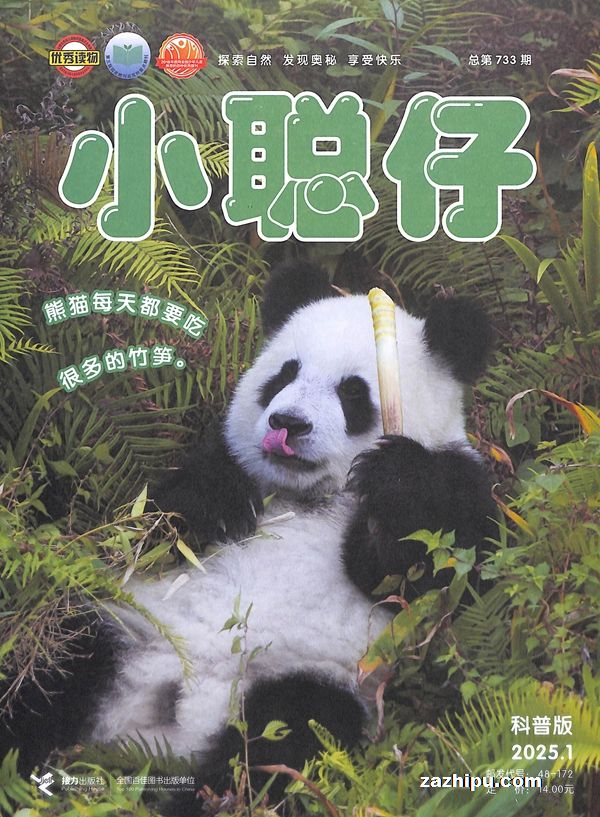 С������Ȼ���հ�2025��1����