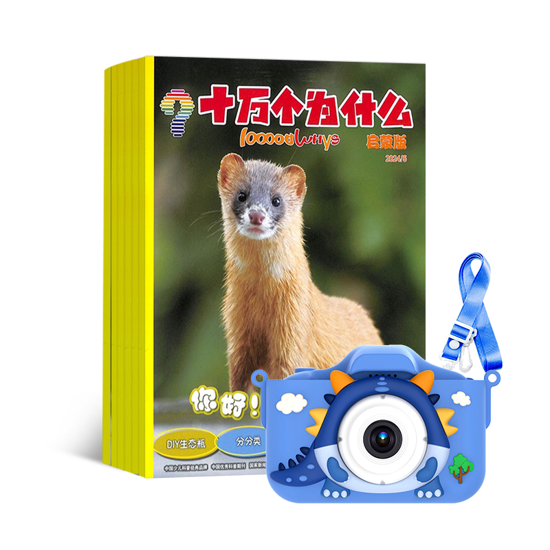ʮΪʲôɰ(1깲12)+
