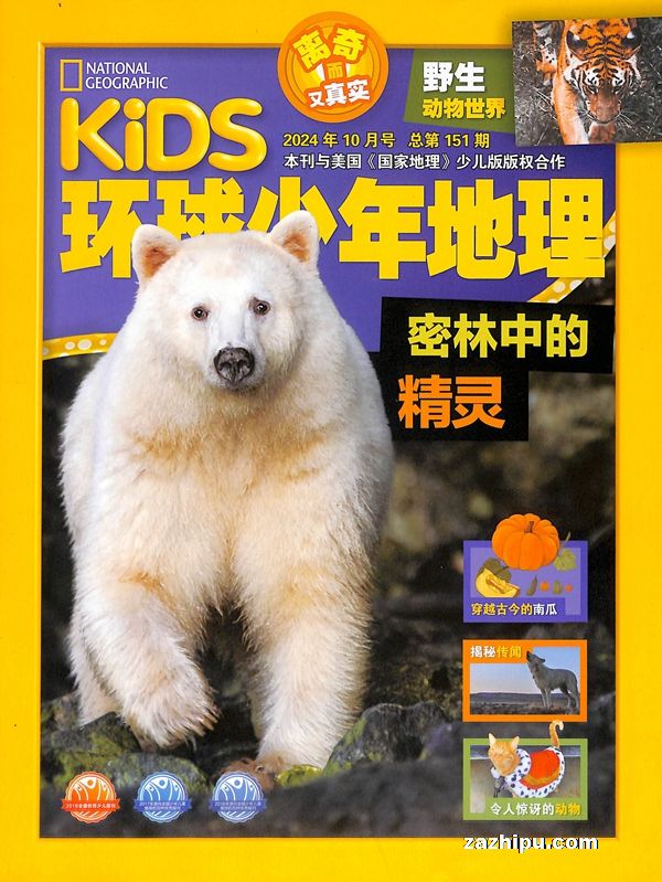 ֪ʶѡӿĵʷ+KiDS1깲12ڣ