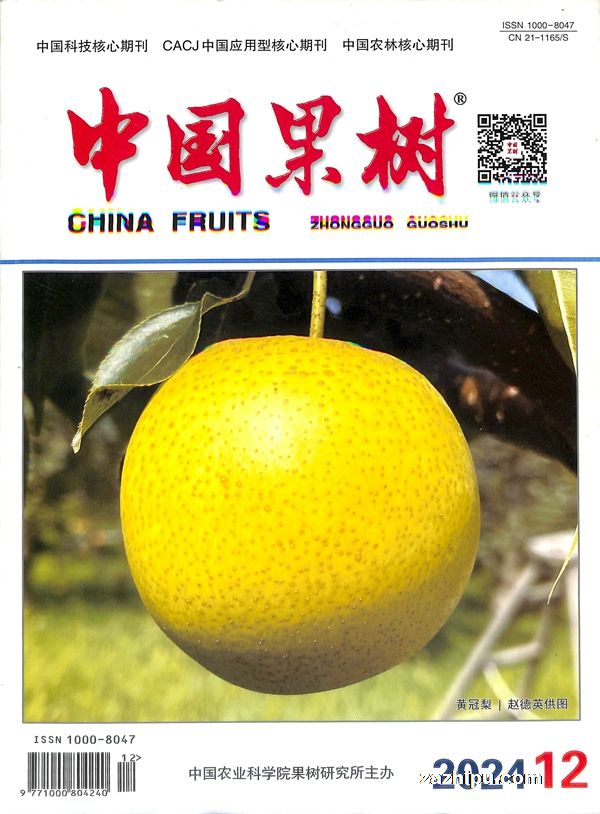 �й�������1�깲12�ڣ�