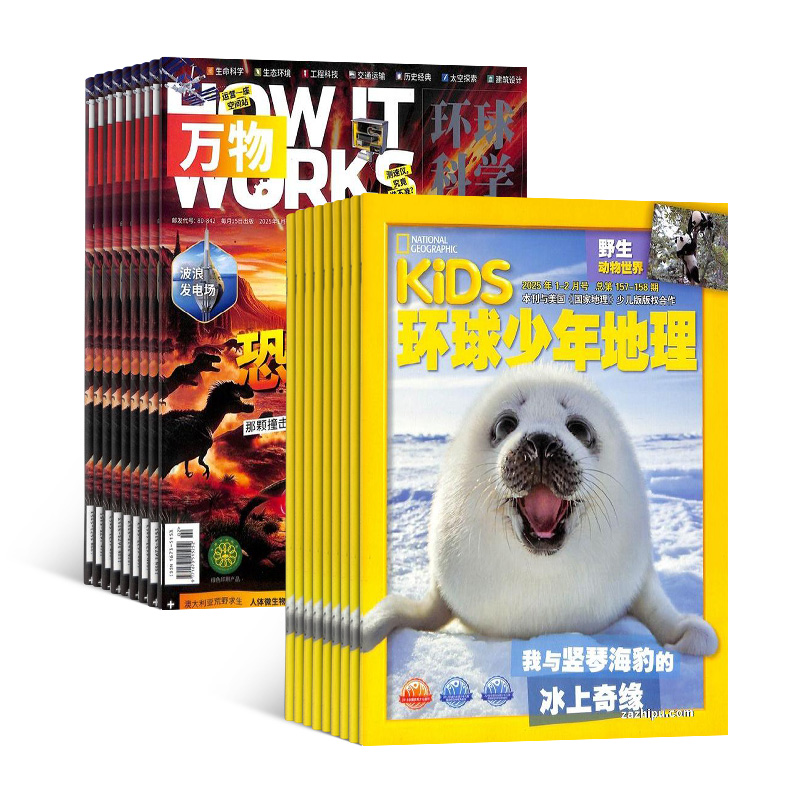 1깲12ڣ+KiDS1깲12ڣ϶