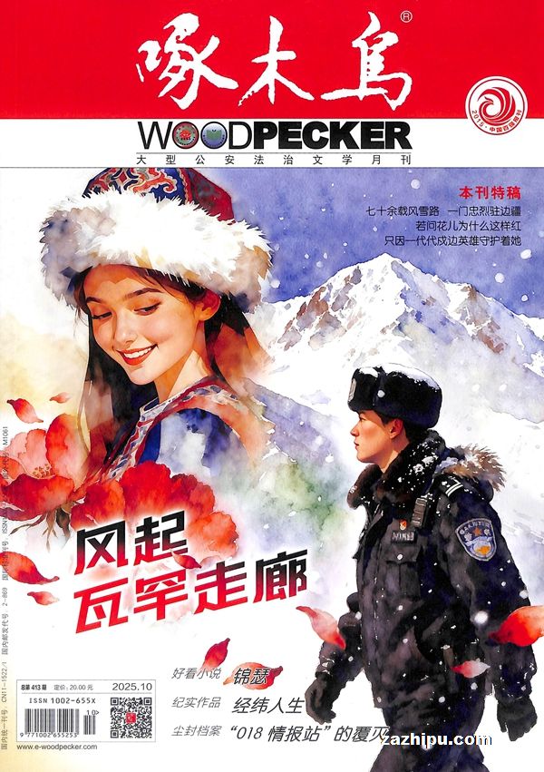 啄木鸟(1年共12期)(杂志订阅)