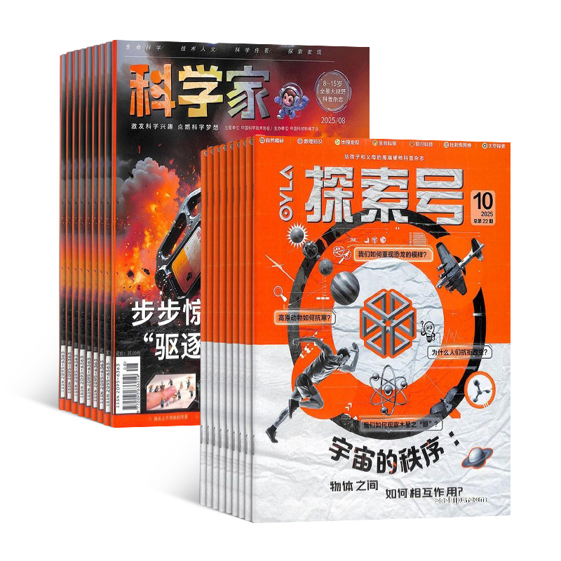 ̽Ŷͯѧ+ѧ꣨1깲24ڣ϶+AI֪ʶ