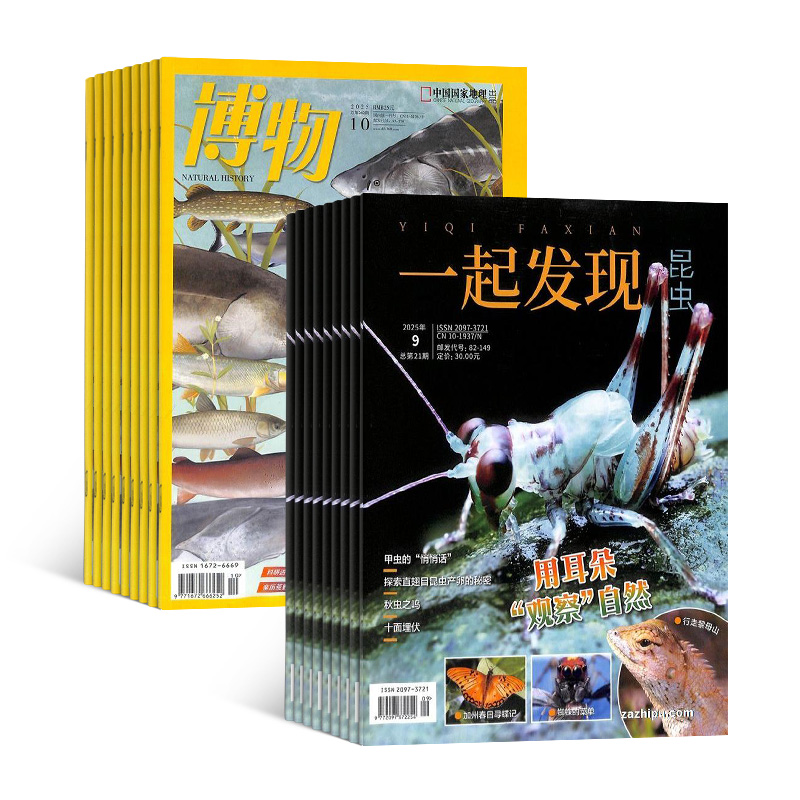 1깲12ڣ+һ棨1깲12ڣ϶