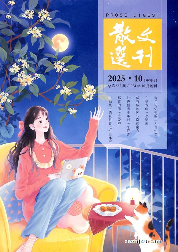 散文选刊选刊版(中旬刊)(1年共12期)(杂志订阅)