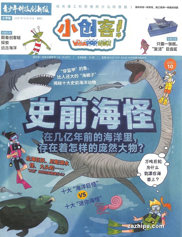 СͣWhizzPopBang־Ȩ1깲12ڣ־ģ