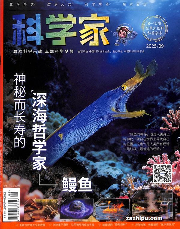 ѧ꣨STEAMAIѧ̽깲6ڣ־ģ+AI֪ʶ