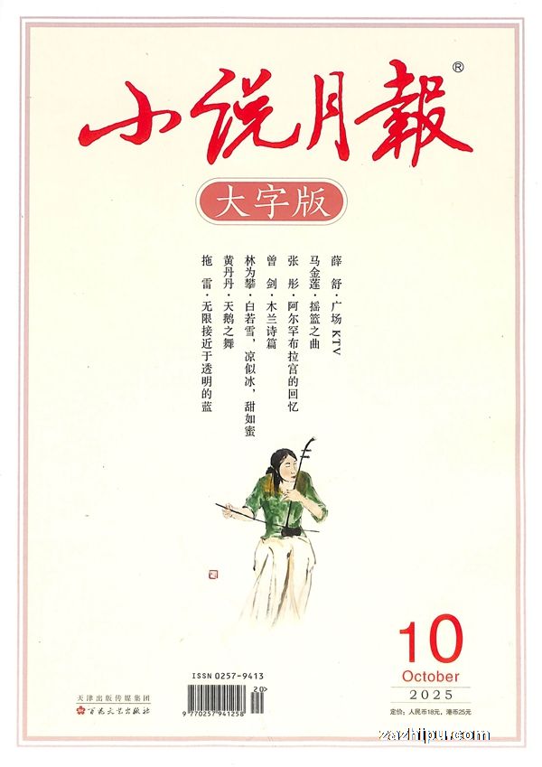 小说月报大字版(1年共12期)(杂志订阅)