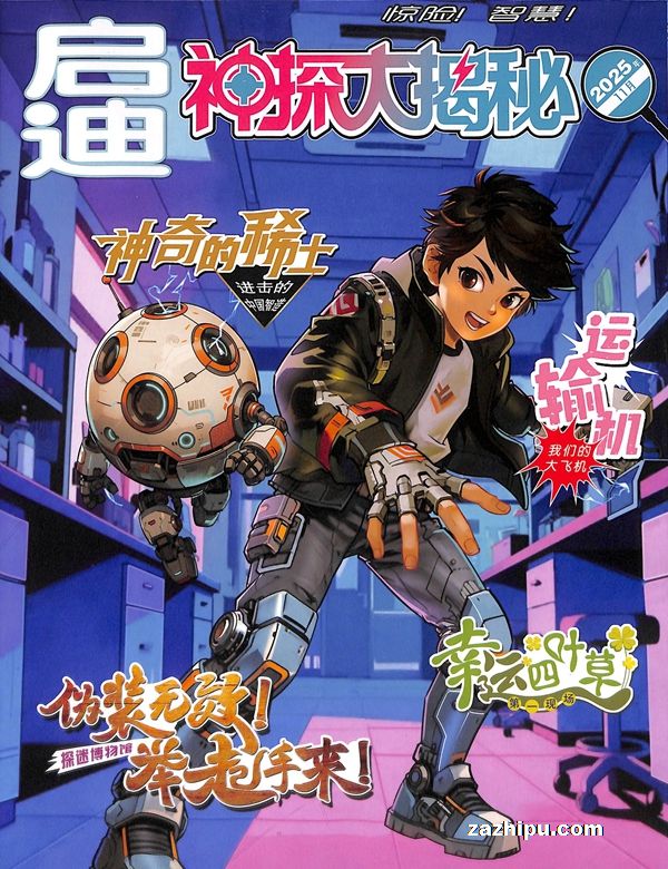 神探大揭秘(1年共12期)(杂志订阅)