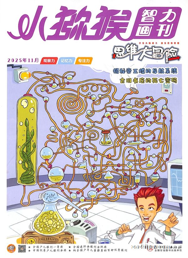 小猕猴智力画刊思维大冒险(1年共12期)(杂志订阅)