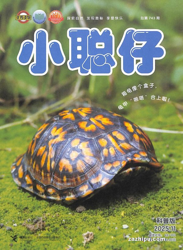 ¼202412СȻհ棨1깲12ڣ+͹¿+ʷͼ+ֽ