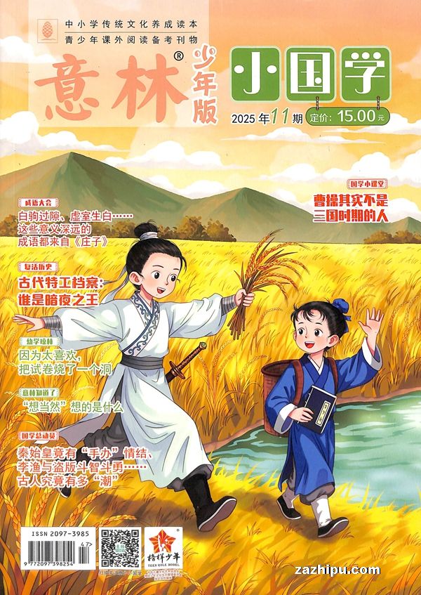 现货2025年6月起订意林小国学(单月共1期)(杂志订阅)