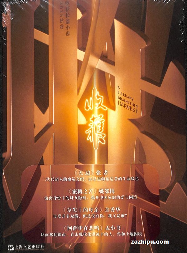 ¼20251ջƪС˵깲2ڣ