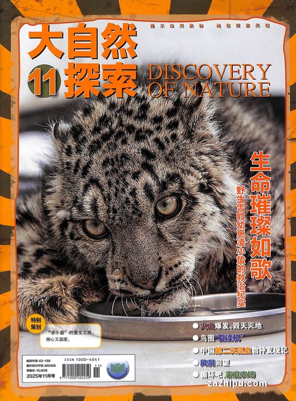 大自然探索(1年共12期)(杂志订阅)