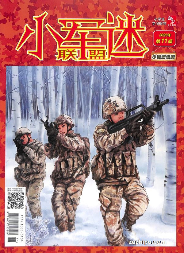 小军迷联盟(半年共6期)(杂志订阅)