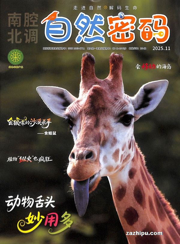 自然密码(1年共12期)(杂志订阅)