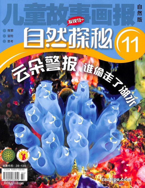 自然探秘(半年共6期)(杂志订阅)