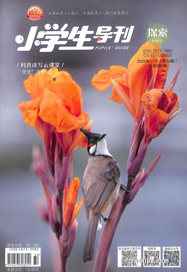 小学生导刊中年级(探索版)(1年12期)杂志订阅(限湖南省外)