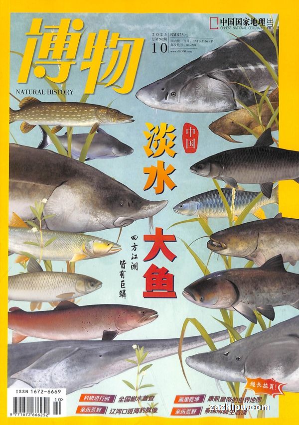 博物(1年共12期)(杂志订阅)