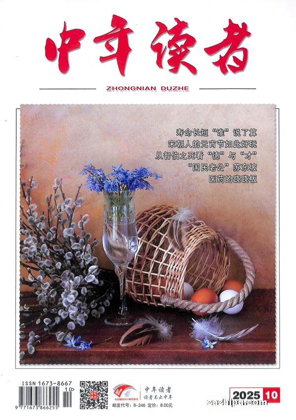中年读者(1年共12期)