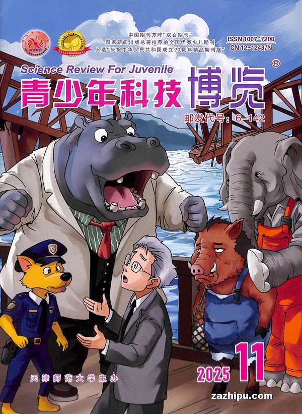 青少年科技博览(半年共6期)(杂志订阅)