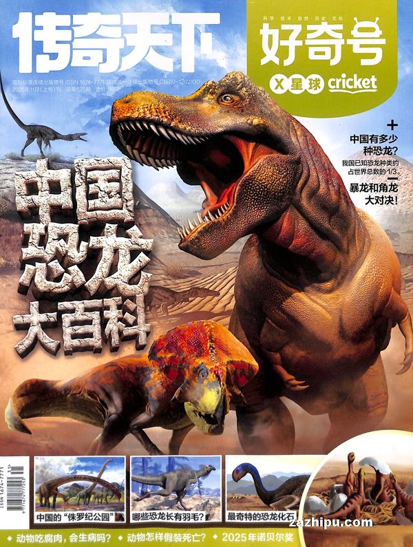 下架2025年6月起订