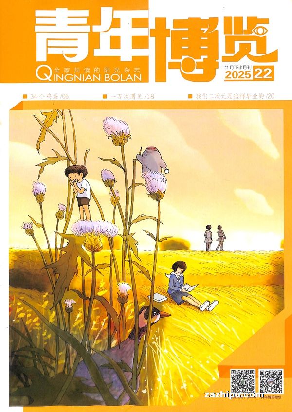 青年博览(半年共12期)(杂志订阅)