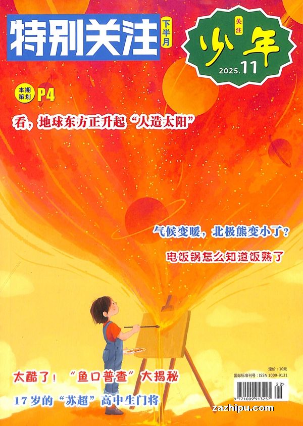 特别关注少年(1年共12期)(杂志订阅)