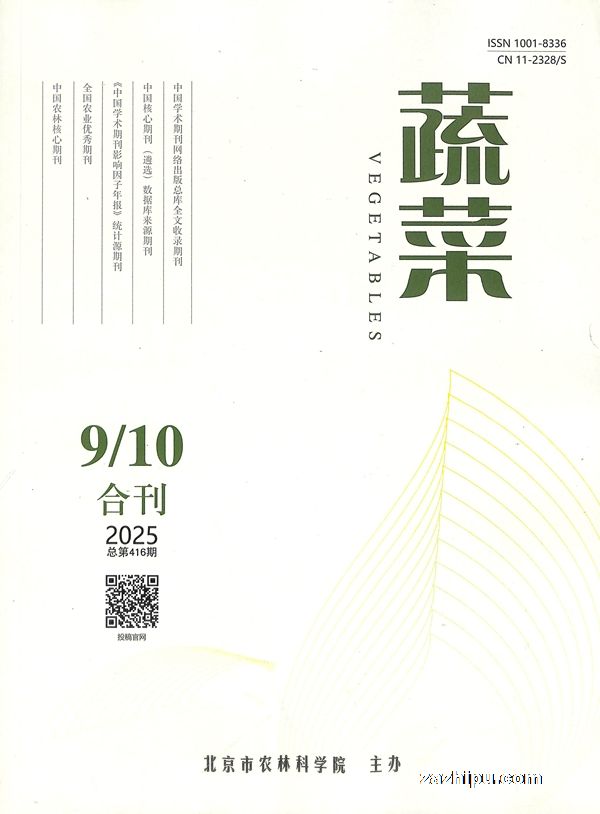 蔬菜(1年共12期)