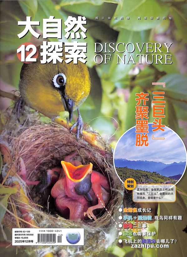 预售2025年6月起订大自然探索(单月共1期)杂志订阅