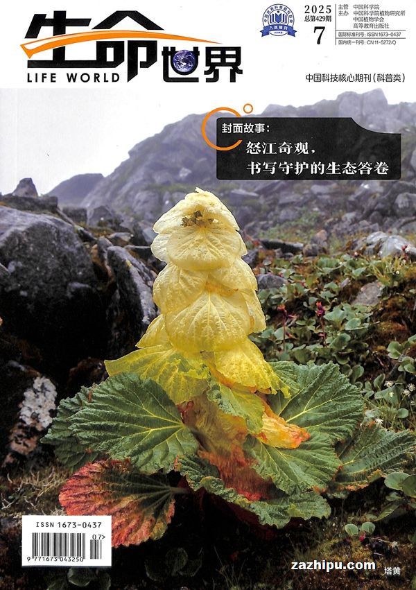 生命世界(1年共12期)