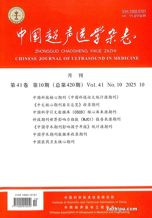中国超声医学杂志(中英文版)(1年共12期)