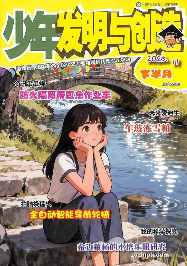 少年发明与创造(半年共12期)(杂志订阅)