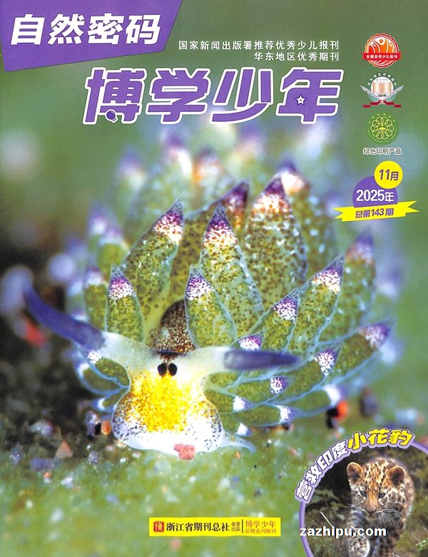 博学少年自然密码(1季度共3期)(杂志订阅)